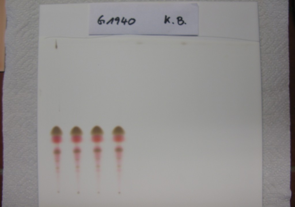 Dünnschichtchromatogramme von A F Epoxidharzen
